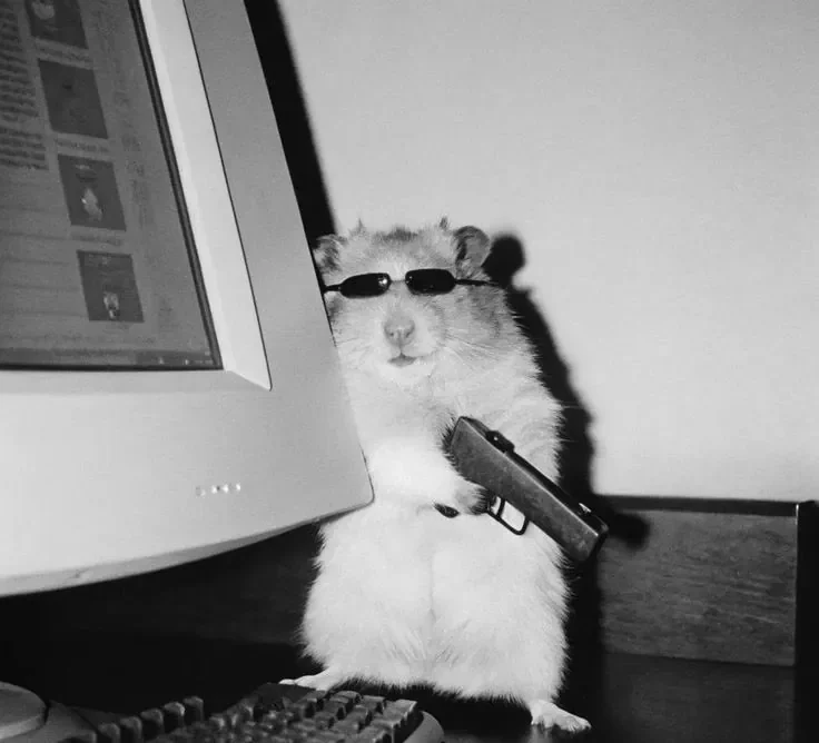 Hamster at a vintage computer